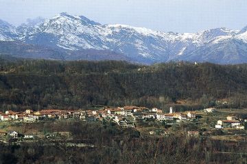 Sfoglia la galleria